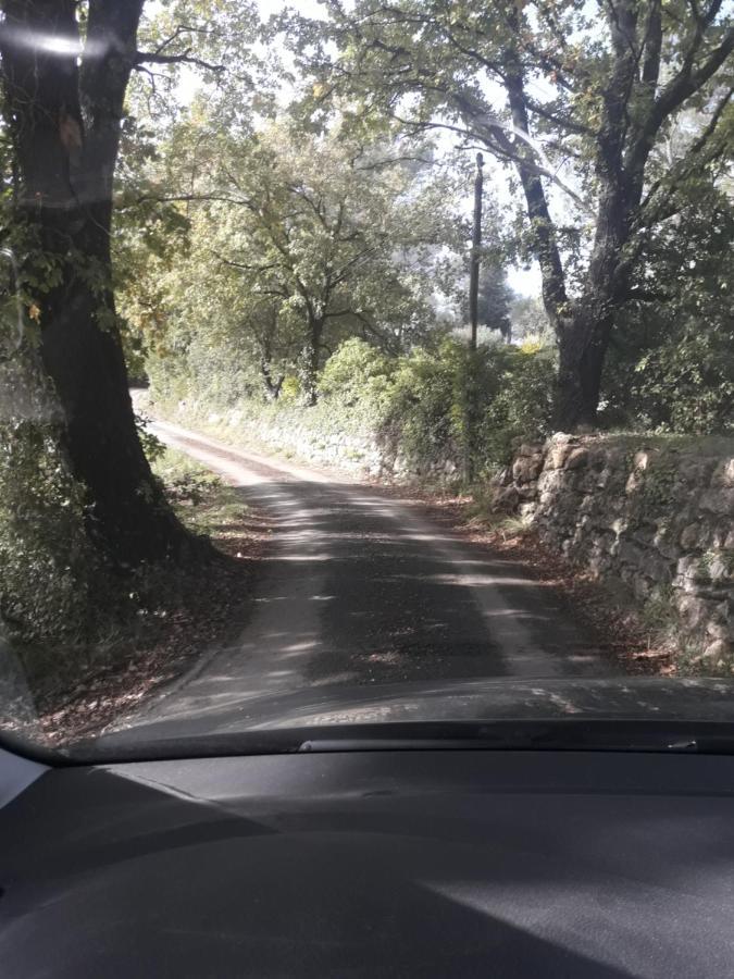 Villa Catharina Lorgues Bagian luar foto