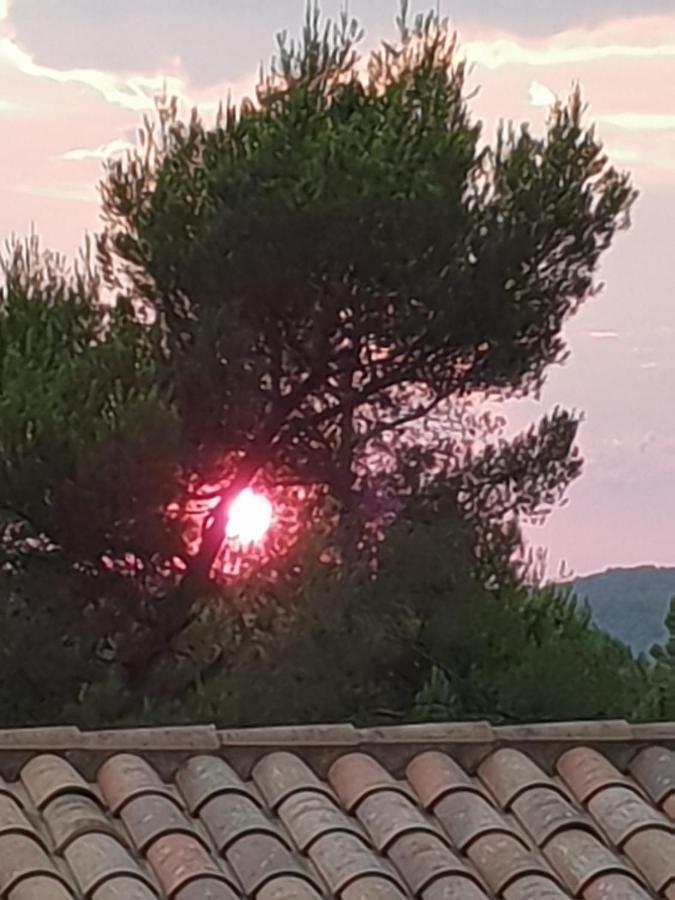Villa Catharina Lorgues Bagian luar foto